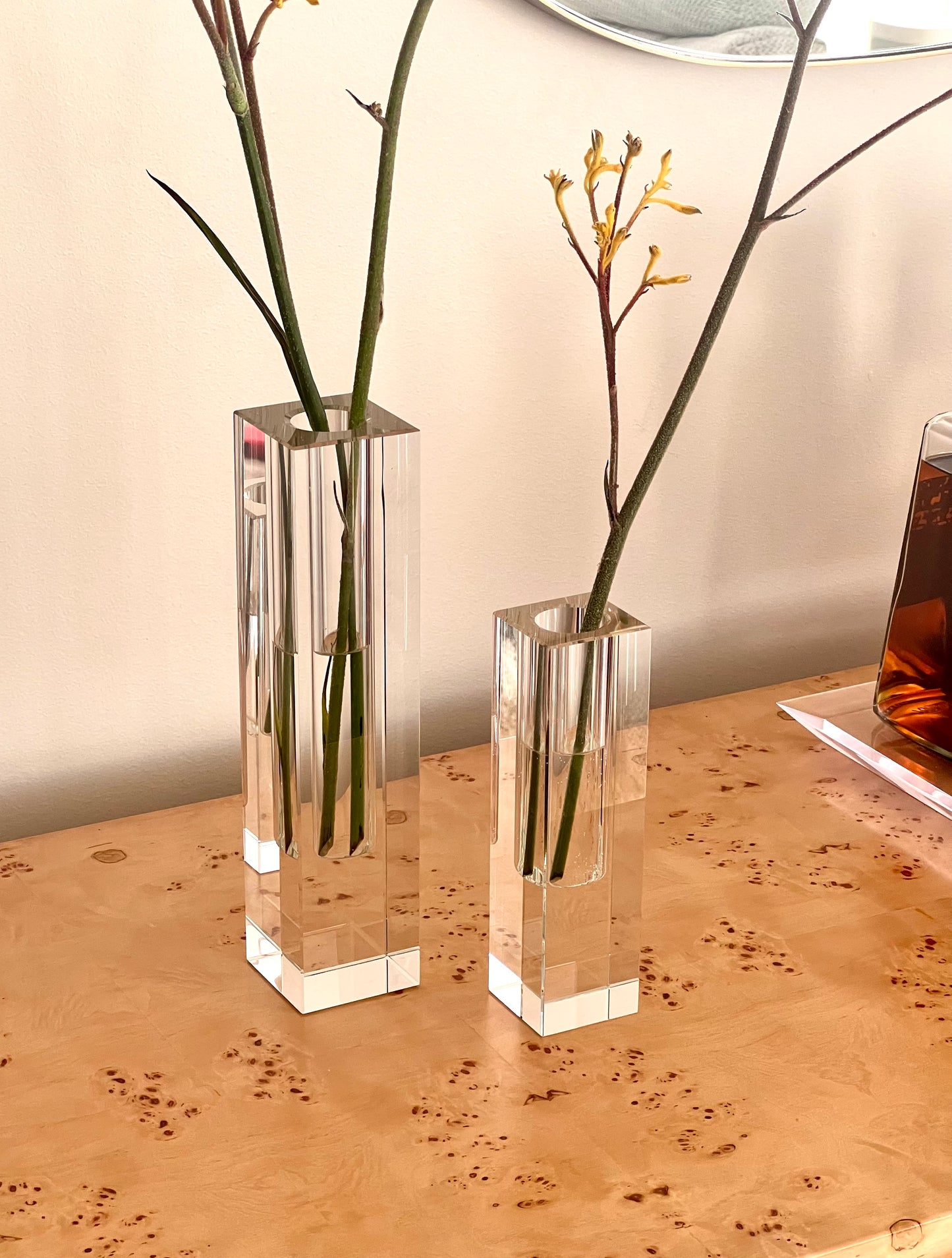 Luminé Acrylic Vase Set