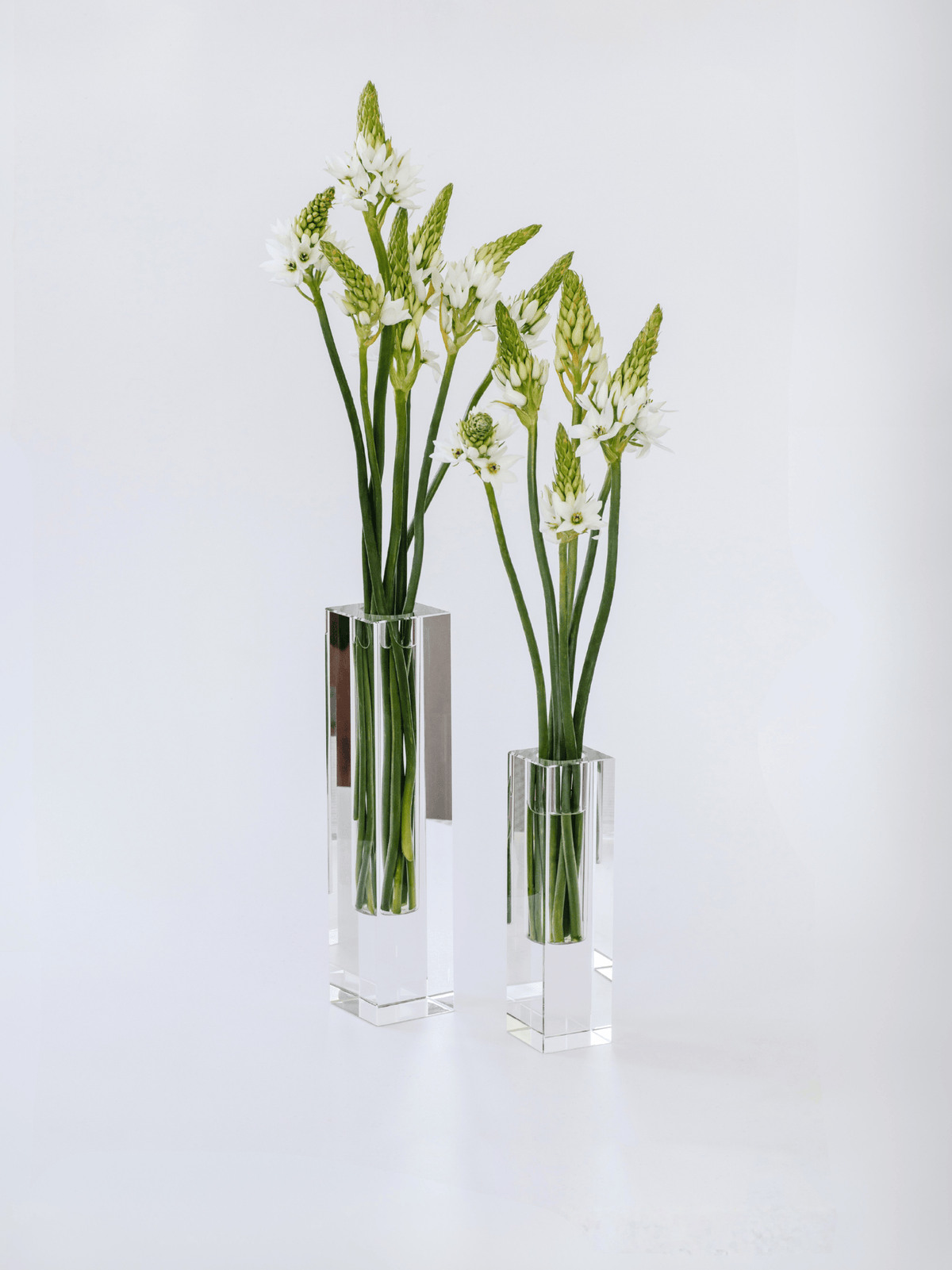 Luminé Acrylic Vase Set