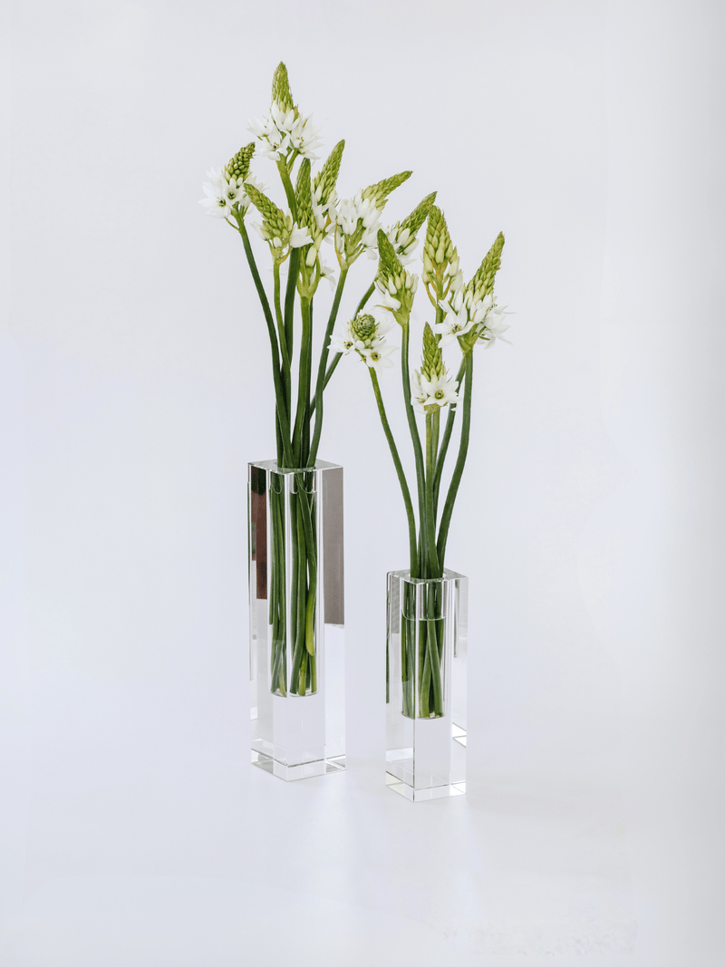 Luminé Acrylic Vase Set