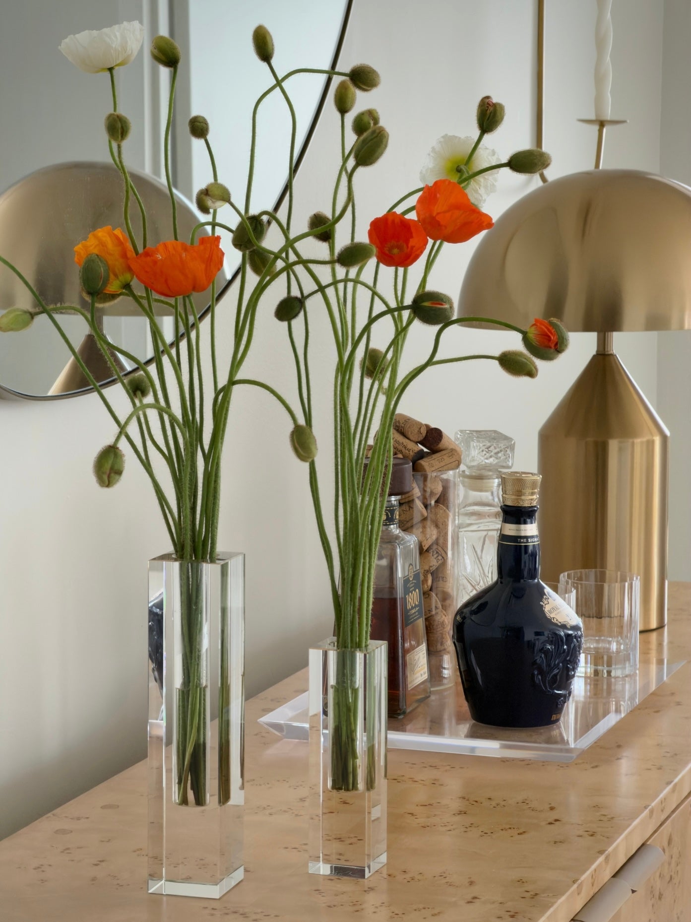Luminé Acrylic Vase Set