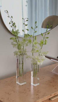 Luminé Acrylic Vase Set